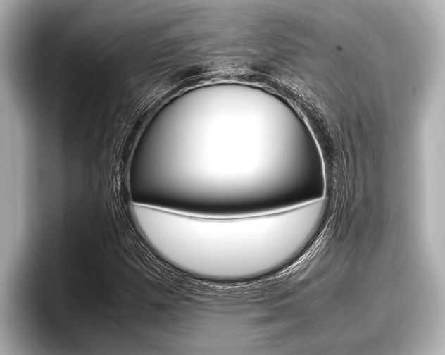X0000096671257200802051003