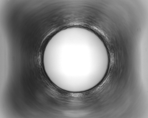 X0000096671258200802051003