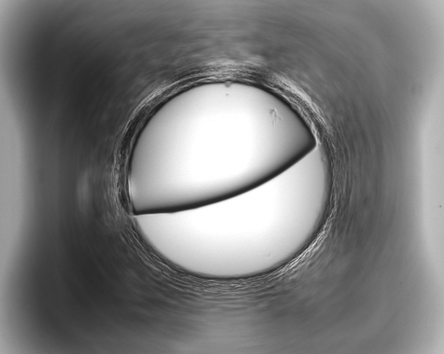 X0000096671259200802051003