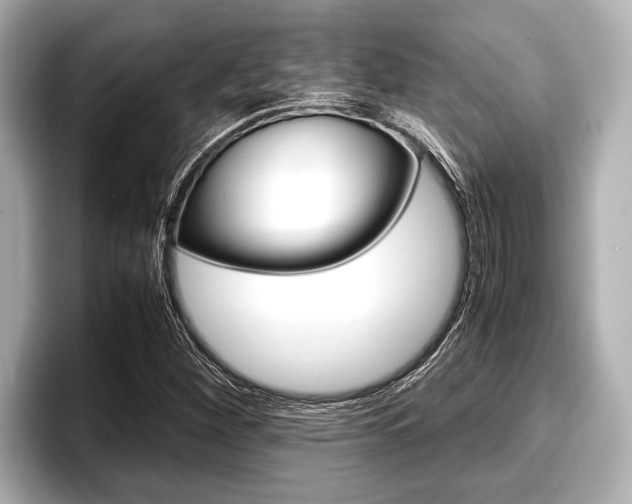 X0000096671260200802051003