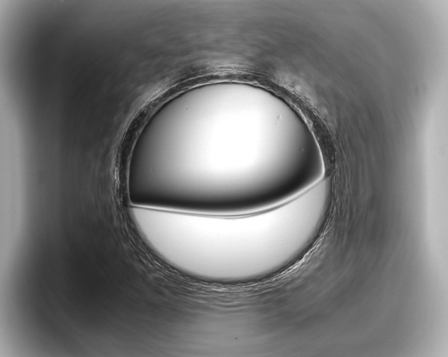 X0000096671261200802051003