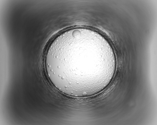X0000096671263200802051003