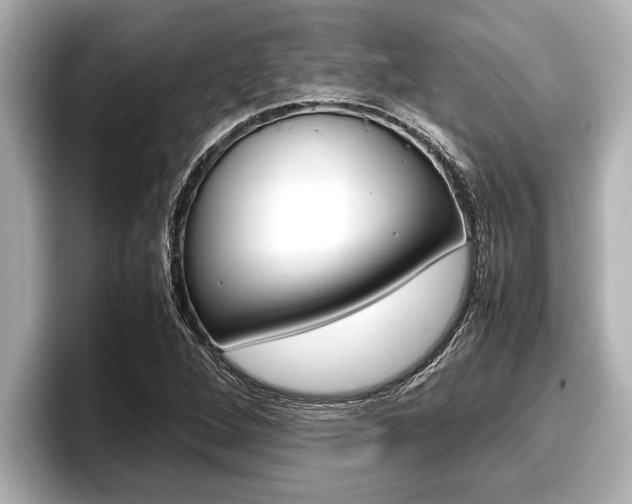 X0000096671264200802051003