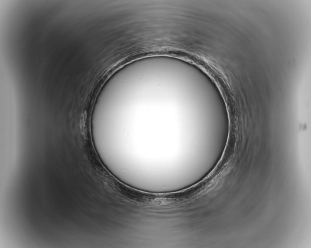 X0000096671265200802051003
