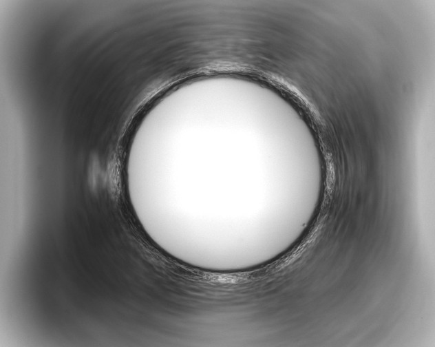 X0000096671266200802051003
