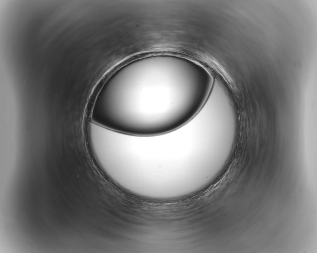 X0000096671268200802051003