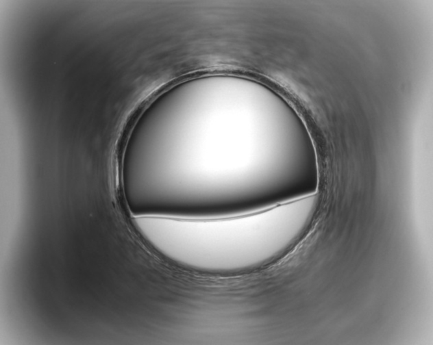 X0000096671269200802051003