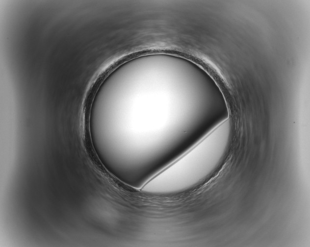 X0000096671270200802051002