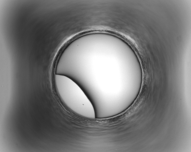 X0000096671271200802051002
