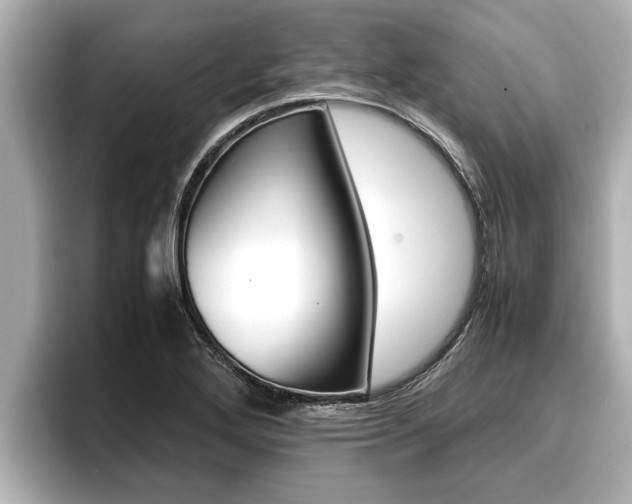 X0000096671272200802051002