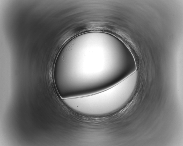 X0000096671273200802051002