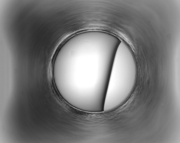 X0000096671275200802051002