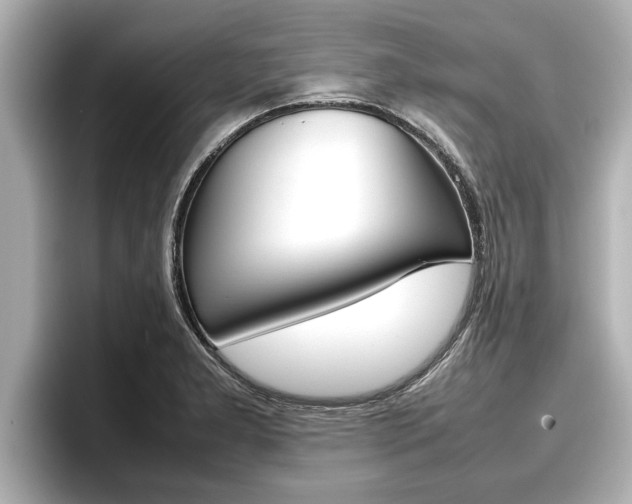 X0000096671277200802051002