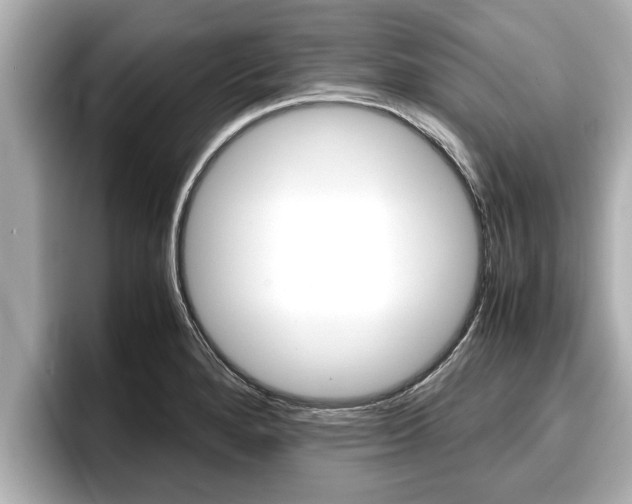 X0000096671280200802051002