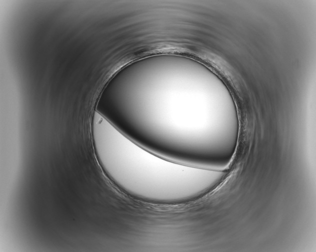 X0000096671281200802051002