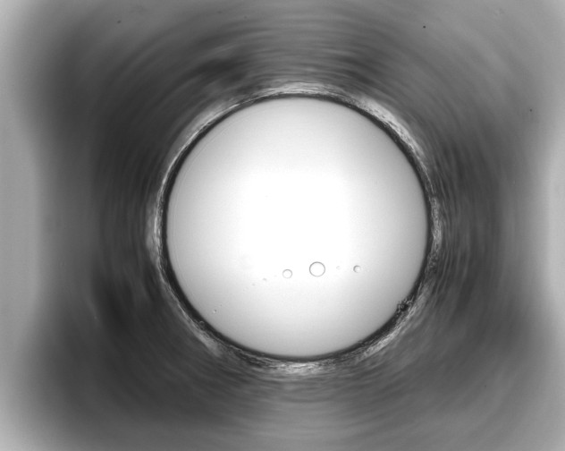 X0000096671282200802051002