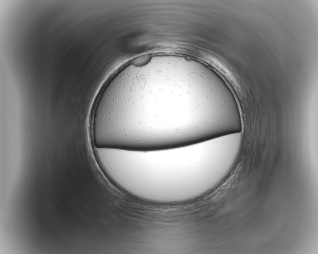 X0000096671283200802051002