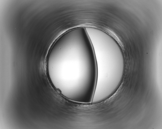 X0000096671284200802051002