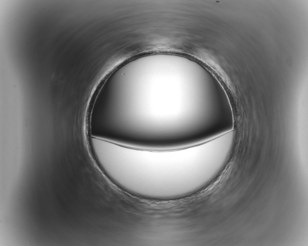 X0000096671285200802051002