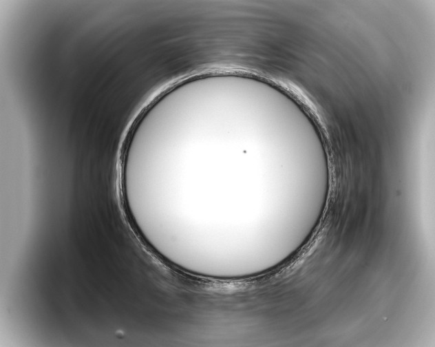 X0000096671286200802051002