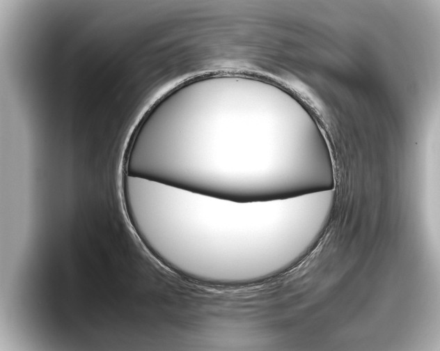X0000096671287200802051002