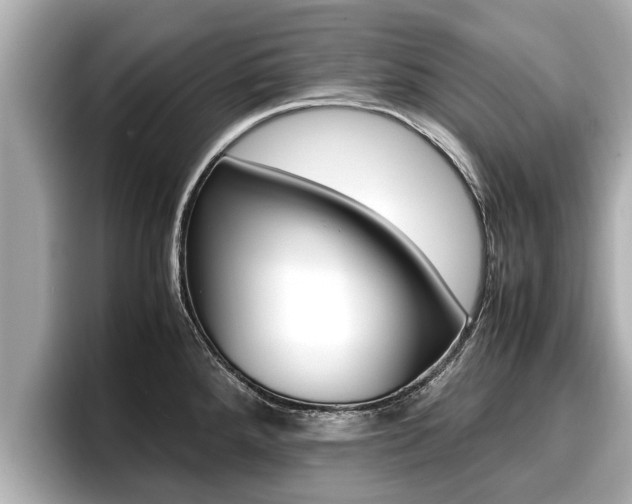 X0000096671288200802051002