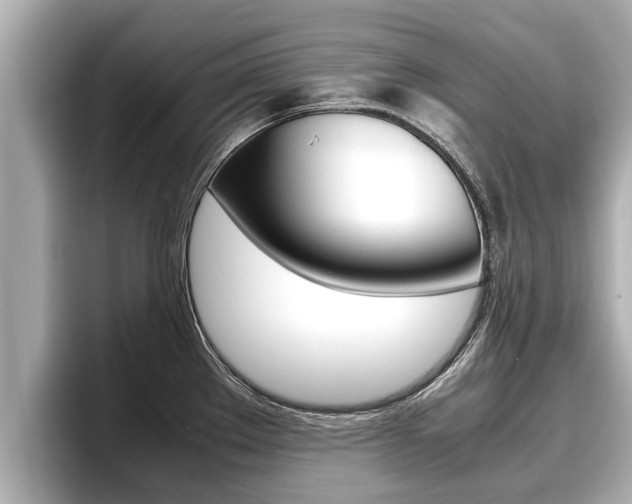 X0000096671289200802051002