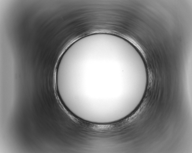 X0000096671290200802051002