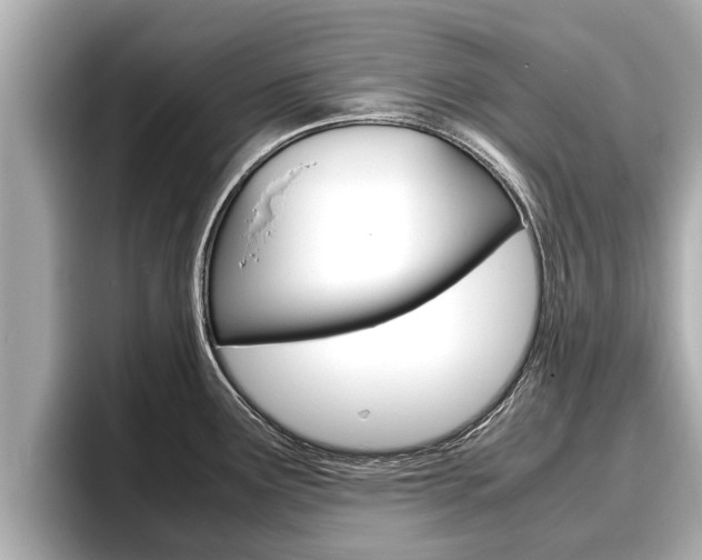 X0000096671291200802051002