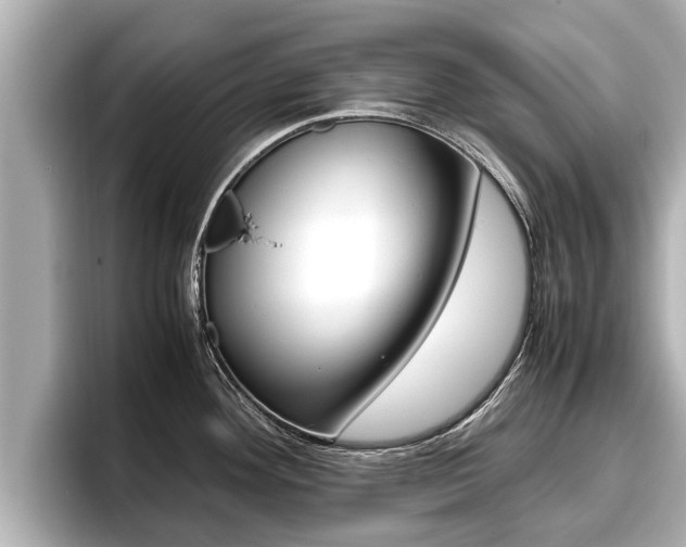 X0000096671292200802051002