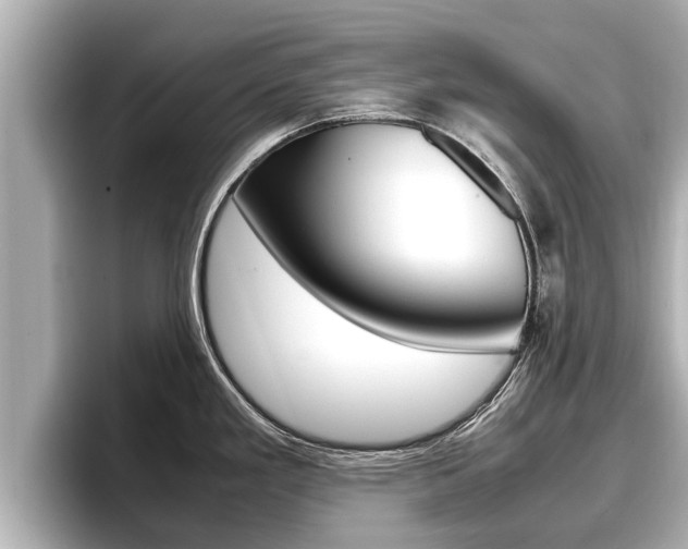 X0000096671293200802051002