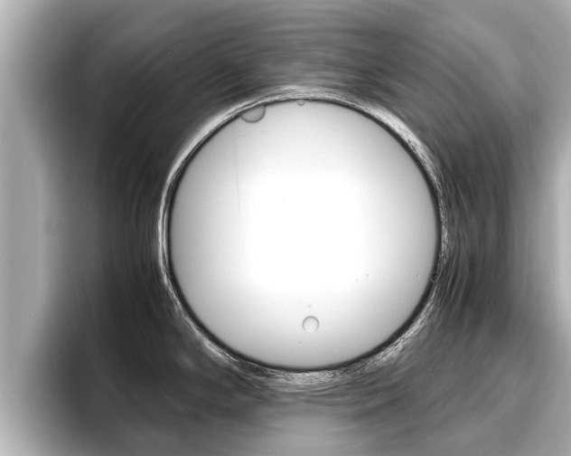 X0000096671294200802051002