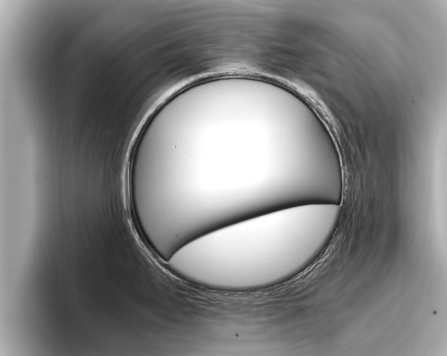 X0000096671295200802051002