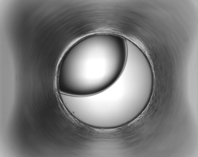 X0000096671296200802051002