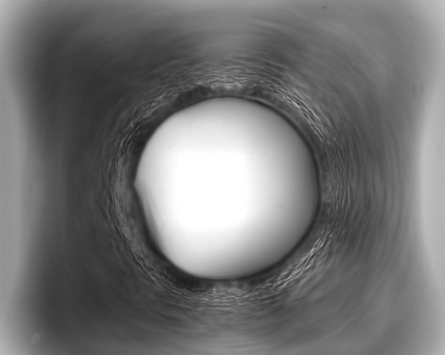 X0000096671297200802051002
