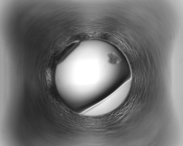 X0000096671298200802051002