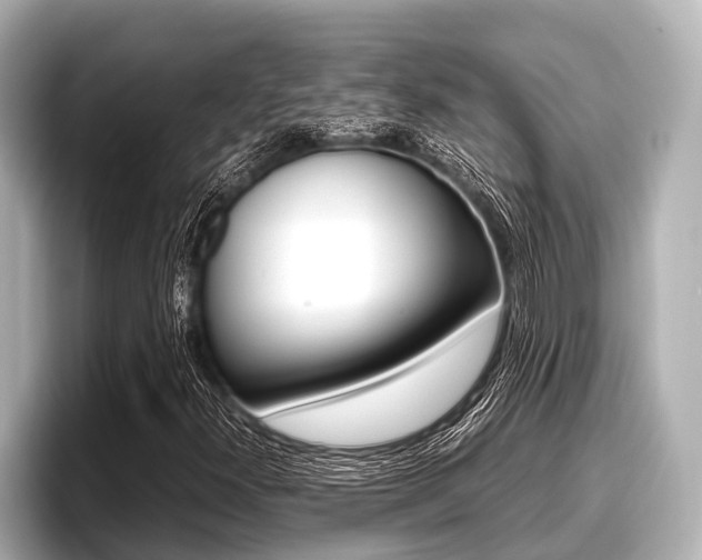 X0000096671300200802051002
