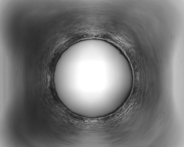 X0000096671302200802051002