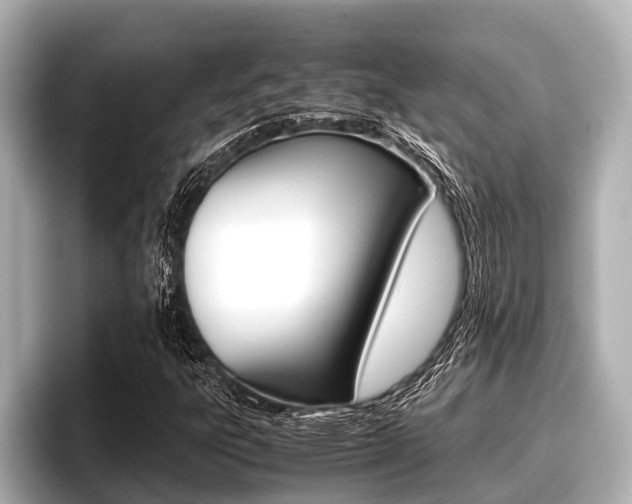 X0000096671303200802051002
