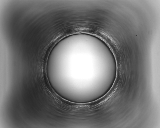 X0000096671305200802051002