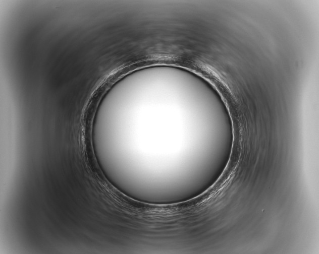X0000096671307200802051002