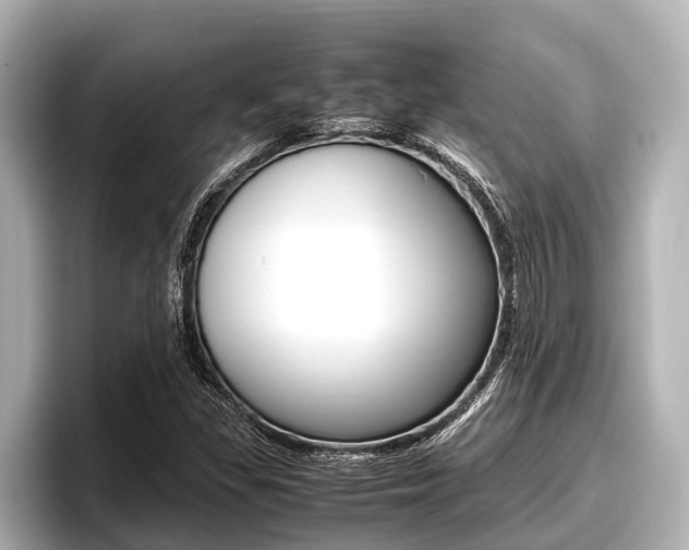 X0000096671309200802051002