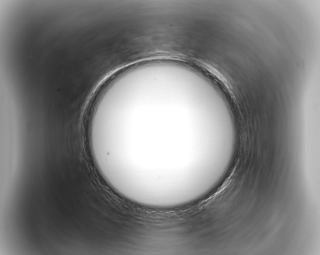 X0000096671310200802051002
