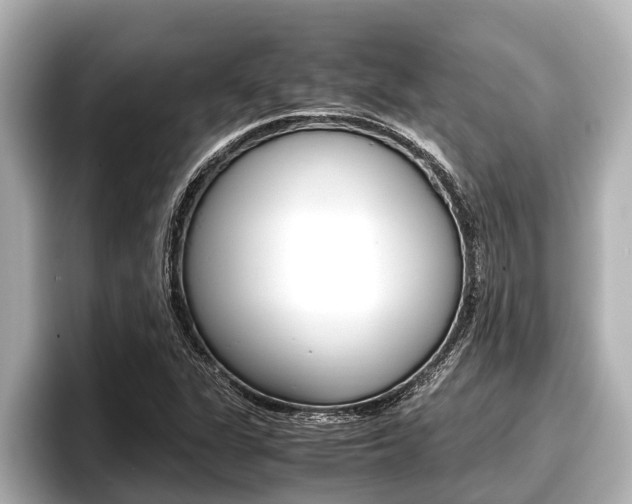 X0000096671311200802051002