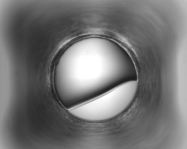 X0000096671312200802051002