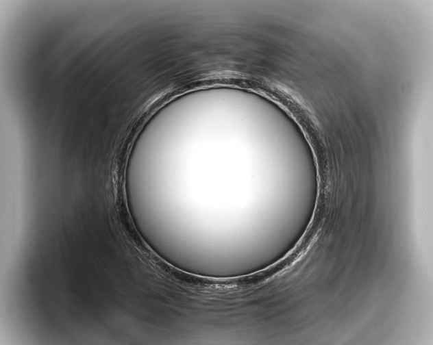 X0000096671313200802051002