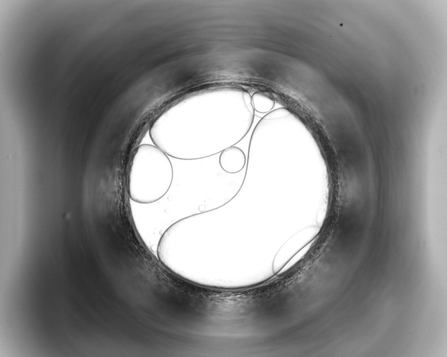X0000096671314200802051002