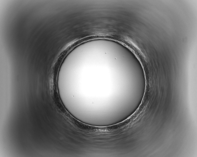 X0000096671315200802051002