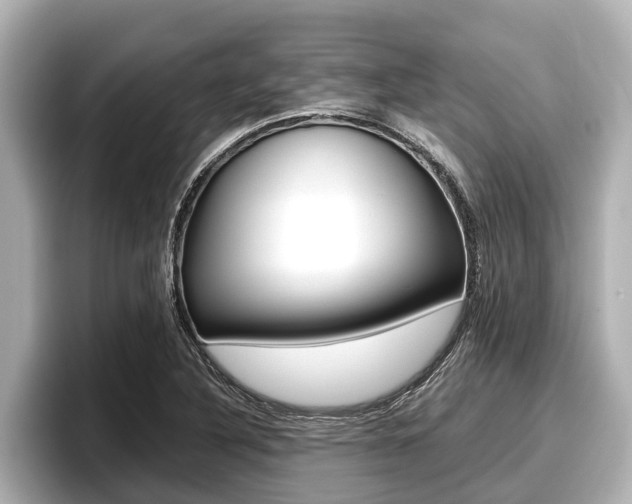 X0000096671316200802051002