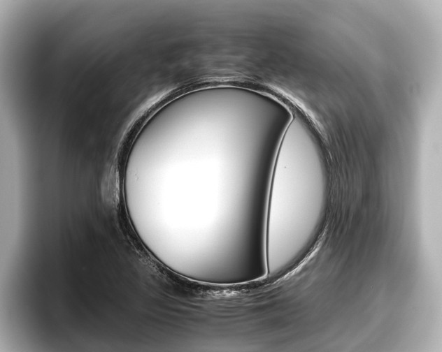 X0000096671317200802051002